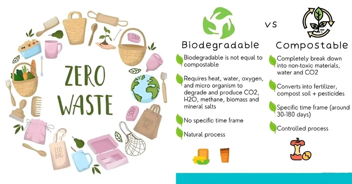 zero waste products ideas
