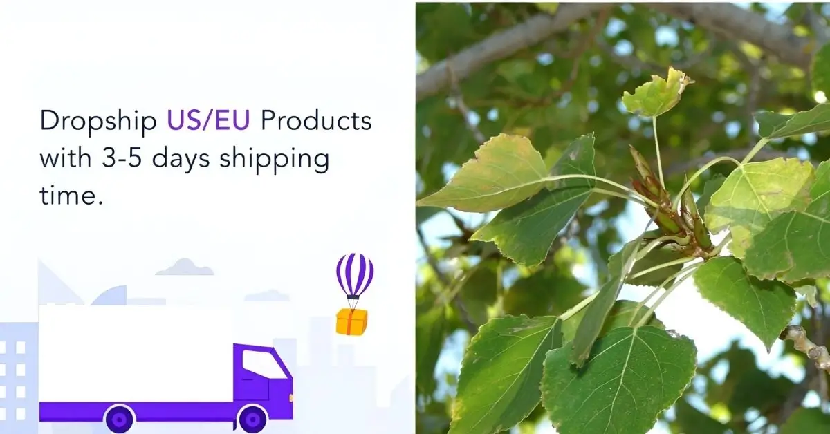 gray poplar fulfillment service