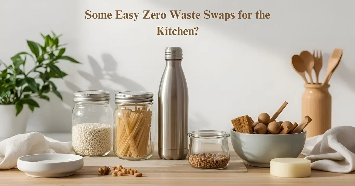 zero waste products ideas
